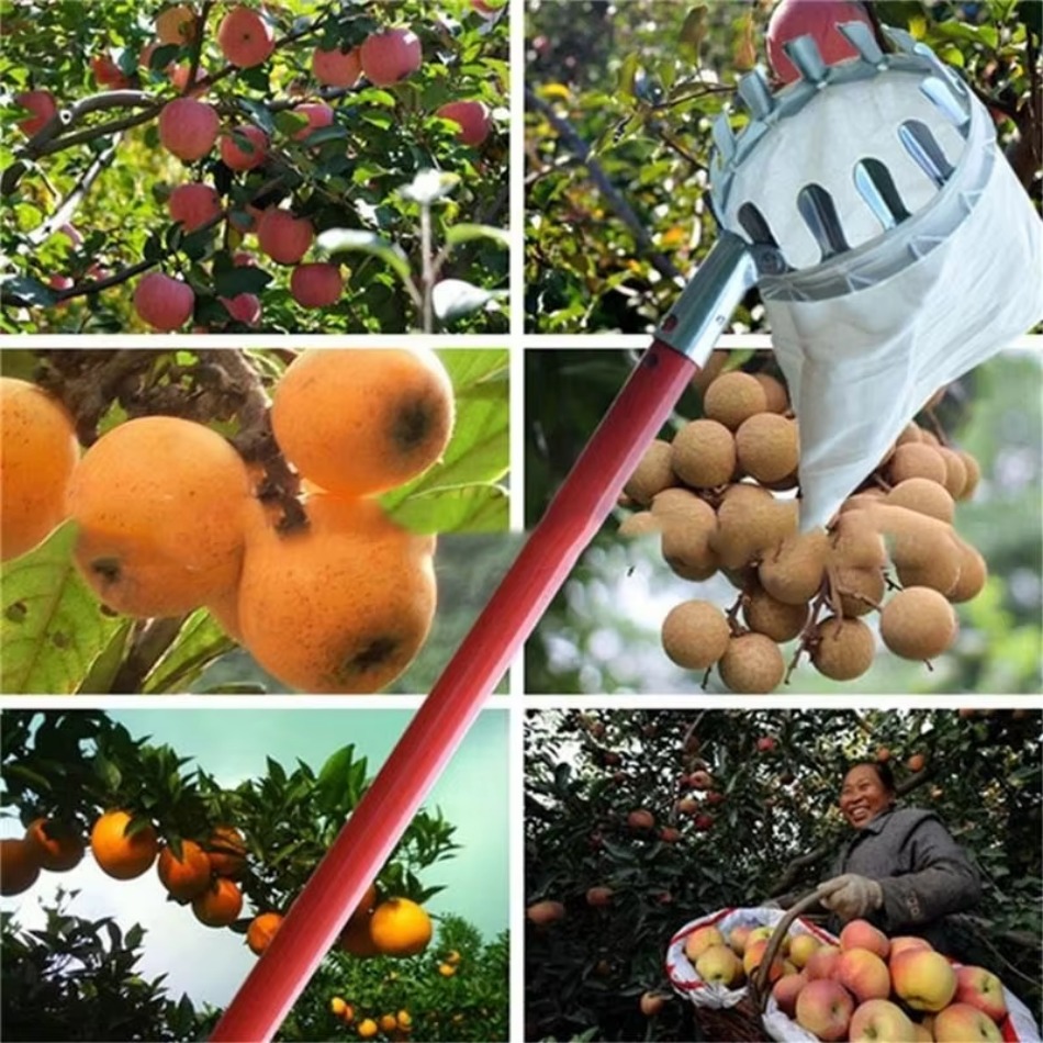 Farming Agriculture Tools - Ramasseur de fruits télescopique multi-usages en
