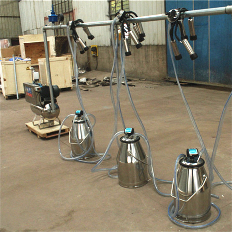 Farming System & Sustainable Agriculture - Machine à traire, système fixe avec