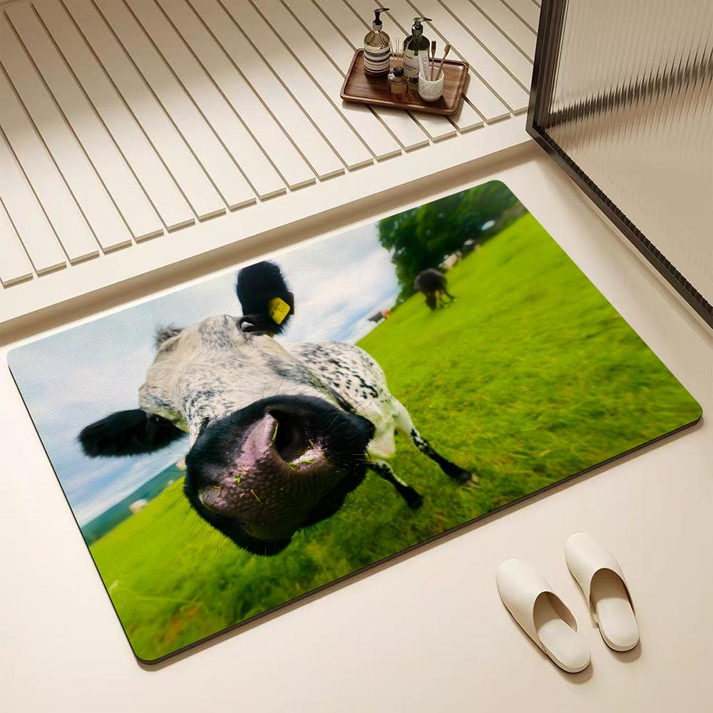 Tapis de sol en diatomite KWai - Cow Mat Rubber avis et prix