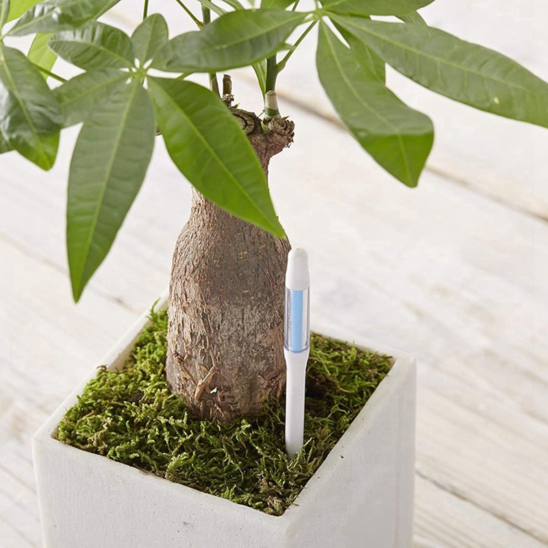 Aquameter, 5 pièces, capteur d - Soil Moisture Sensor avis et prix