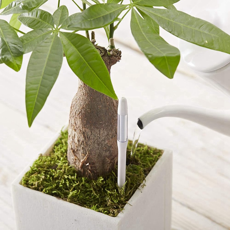 Aquameter, 5 pièces, capteur d - Soil Moisture Sensor avis et prix