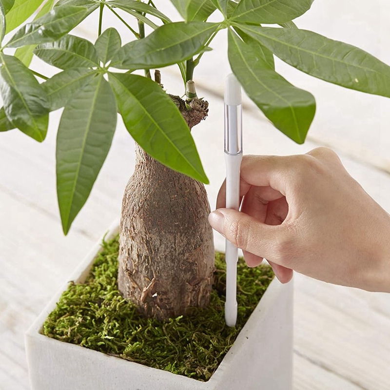 Aquameter, 5 pièces, capteur d - Soil Moisture Sensor avis et prix