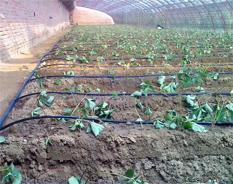 Kit d'irrigation 1HA, outil ag - Agriculture Farming Kit avis et prix