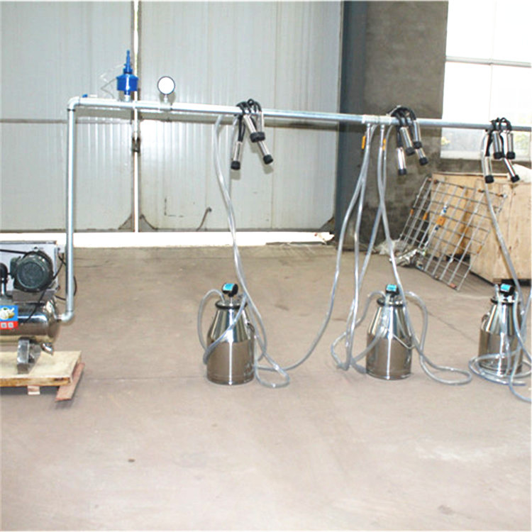 Machine à traire, système fixe - Farming System & Sustainable Agriculture avis et prix
