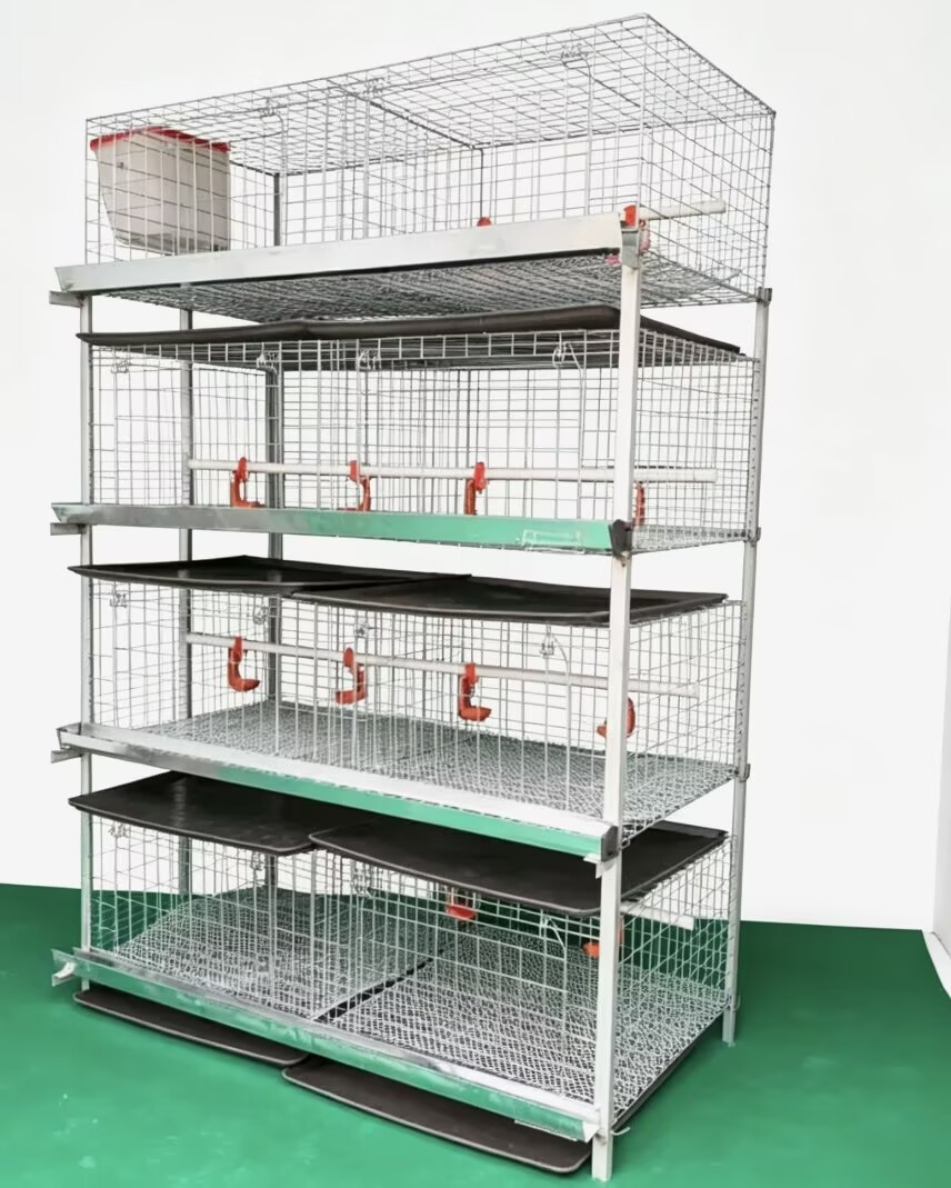 Nouveau système de cages pour  - Farming System & Sustainable Agriculture avis et prix